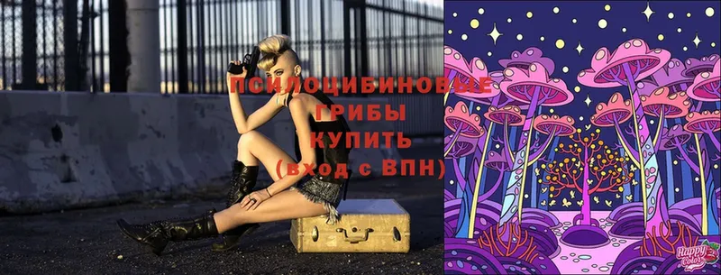 Псилоцибиновые грибы мицелий  shop клад  Ершов 